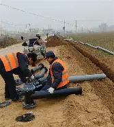 最新：樊振东进球数超C罗巅峰(樊振东复刻姆巴佩动作庆祝夺冠后)
